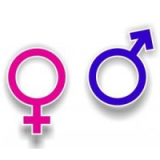 miniatura Spotkanie 05.03.2013 - Egalitaryzm płciowy... W spółkach giełdowych